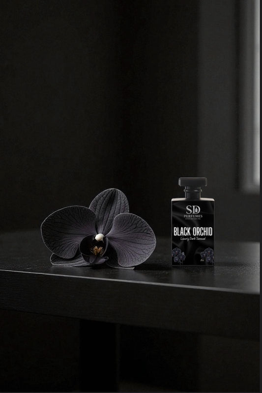 Black Orchid – Dark & Mysterious